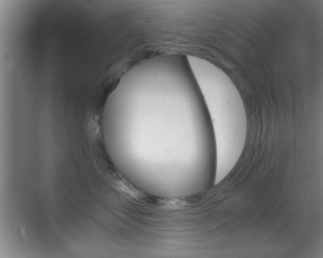 X0000069830621200605190943