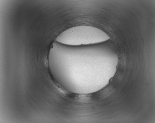 X0000069830622200605190943