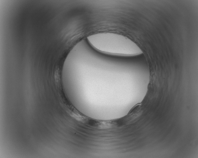 X0000069830623200605190943