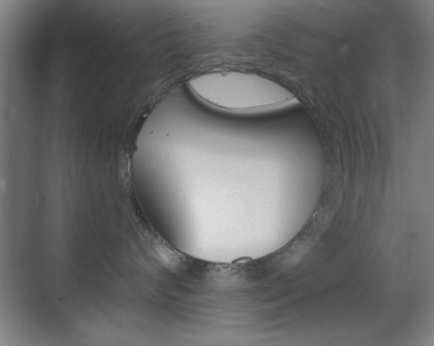 X0000069830624200605190943