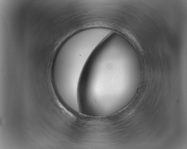 X0000069830625200605190942