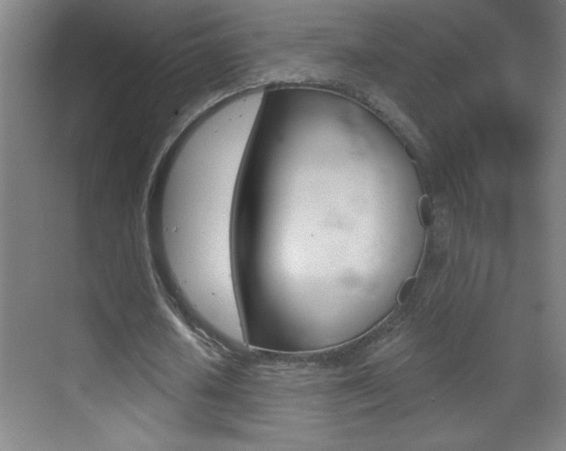 X0000069830626200605190943