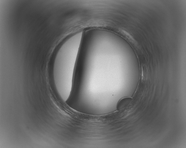 X0000069830627200605190943