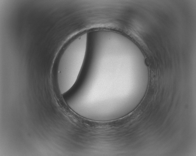 X0000069830628200605190943