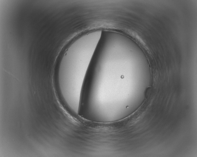 X0000069830629200605190943