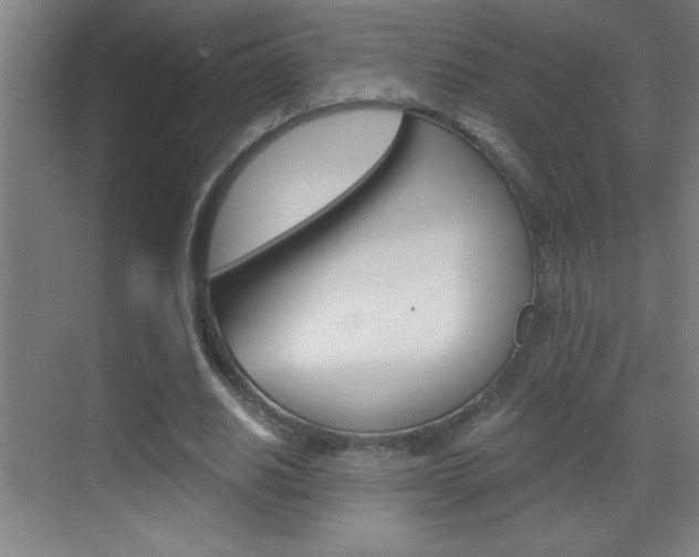 X0000069830630200605190943