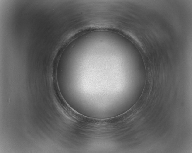 X0000069830631200605190943