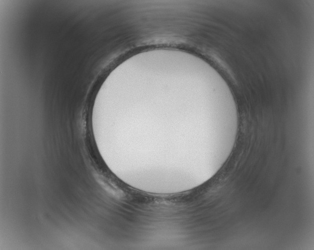 X0000069830632200605190943