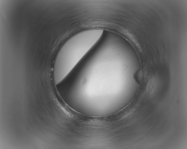 X0000069830633200605190943