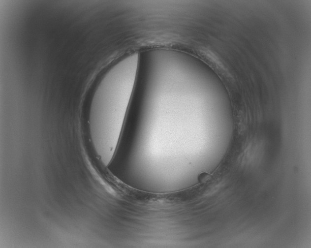 X0000069830634200605190943