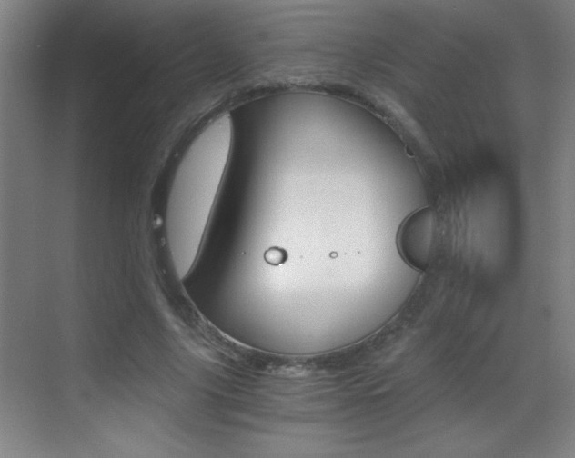 X0000069830635200605190943