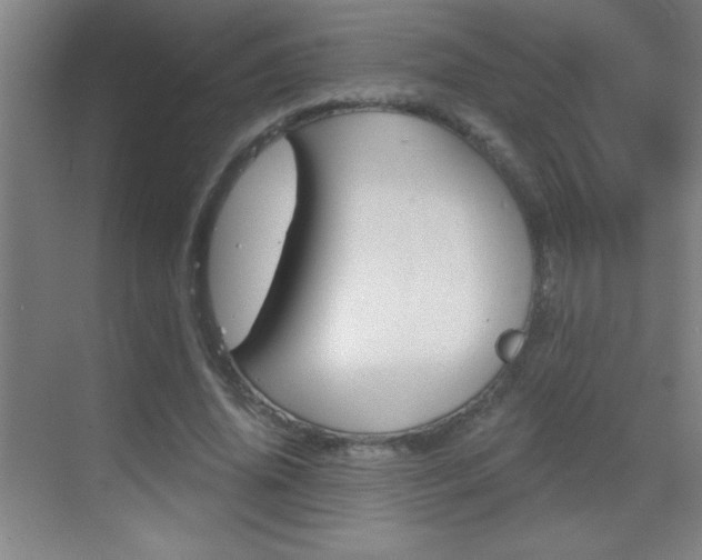 X0000069830636200605190943