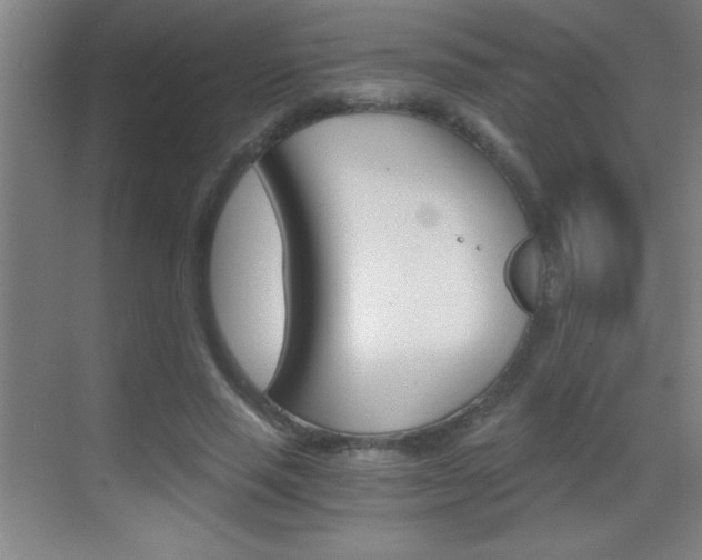 X0000069830637200605190943