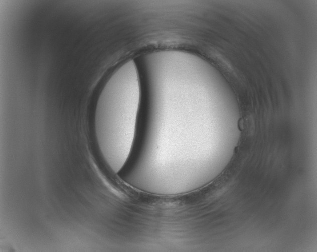 X0000069830638200605190943