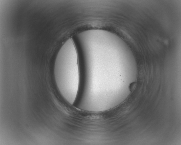 X0000069830639200605190943