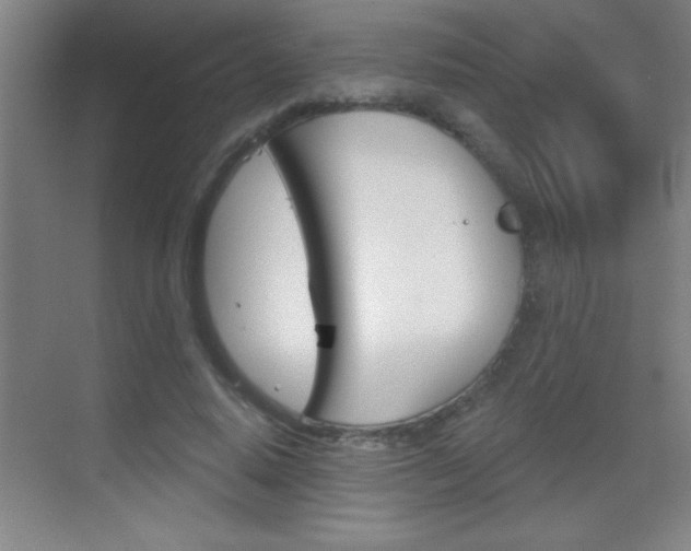 X0000069830640200605190943