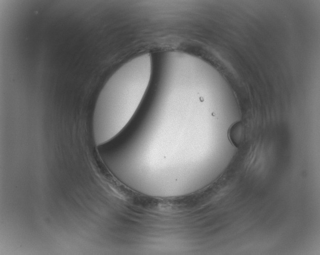 X0000069830641200605190943