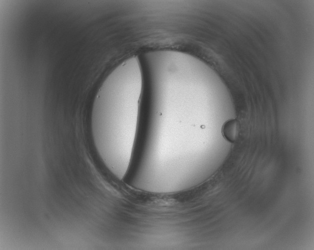 X0000069830642200605190943