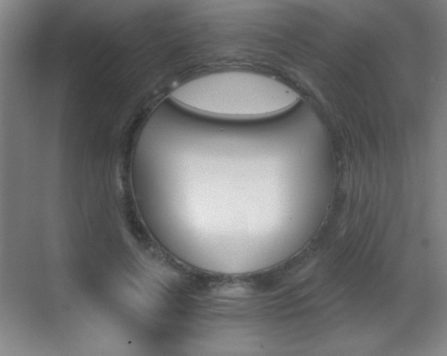 X0000069830643200605190943