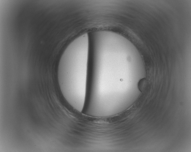 X0000069830644200605190943