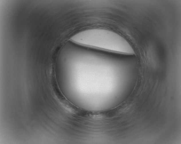 X0000069830645200605190943