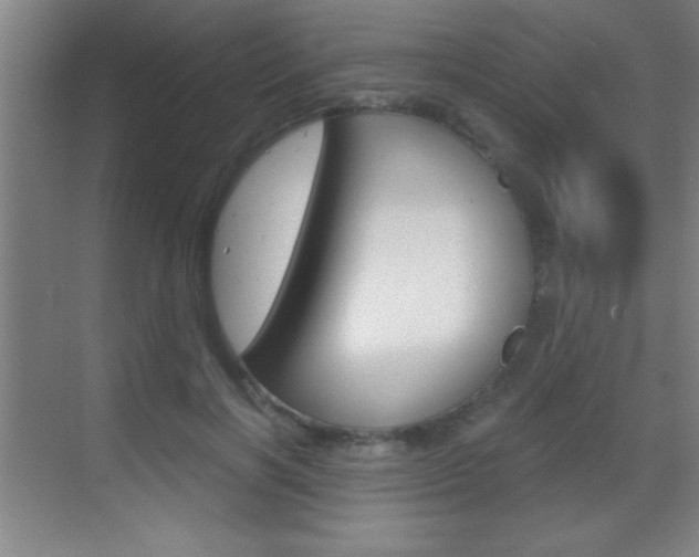 X0000069830646200605190943