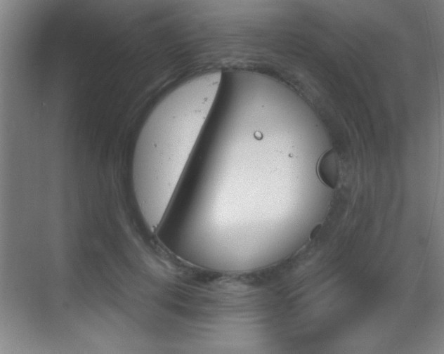 X0000069830648200605190943