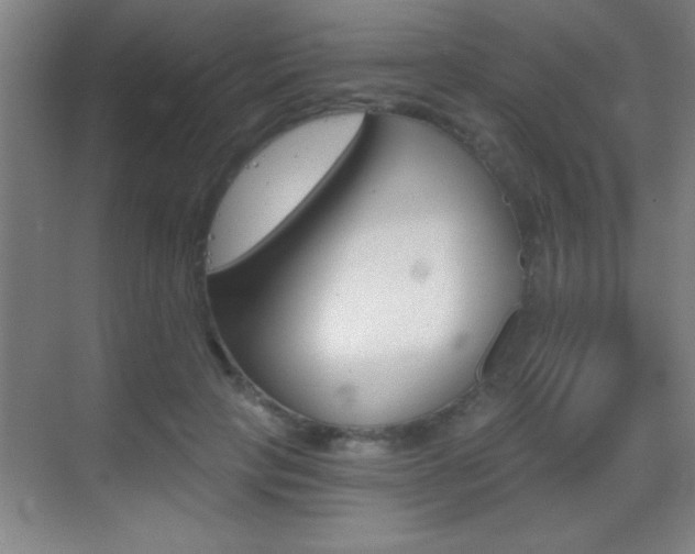 X0000069830649200605190943