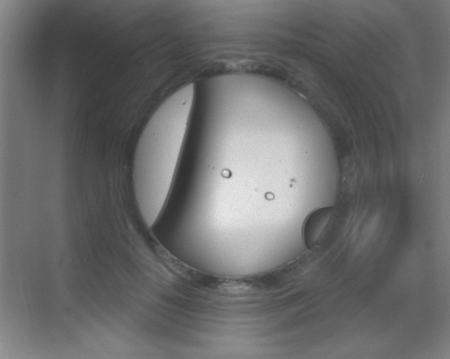 X0000069830650200605190943