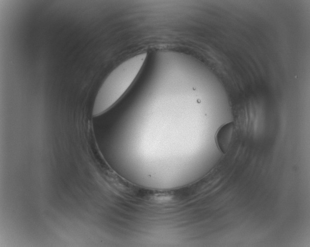 X0000069830651200605190943