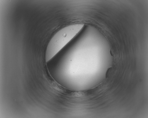 X0000069830652200605190943