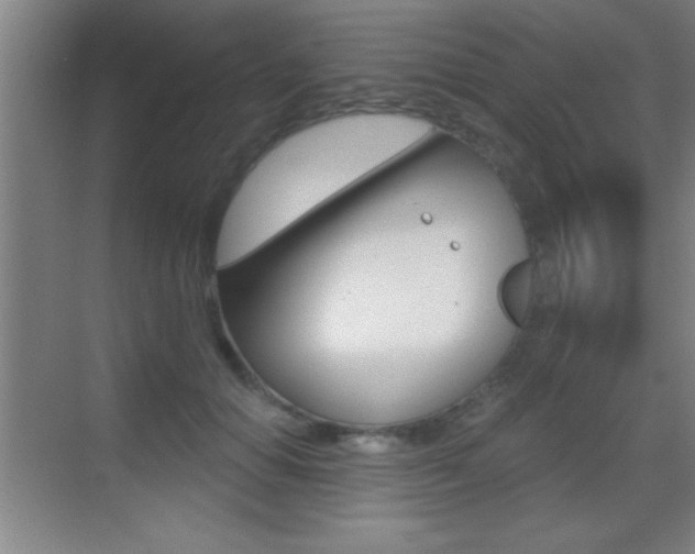 X0000069830654200605190943