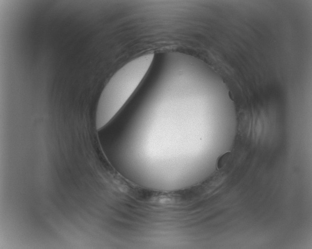 X0000069830655200605190943