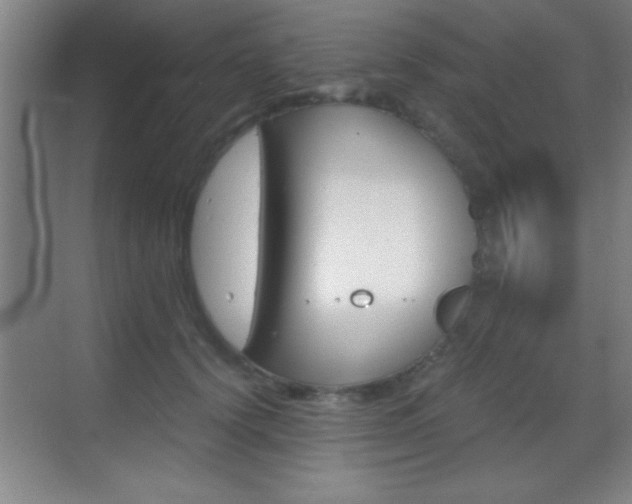 X0000069830656200605190943