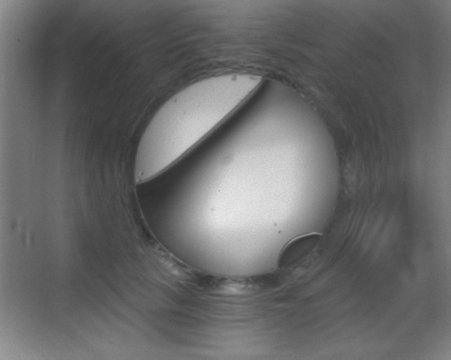 X0000069830657200605190943