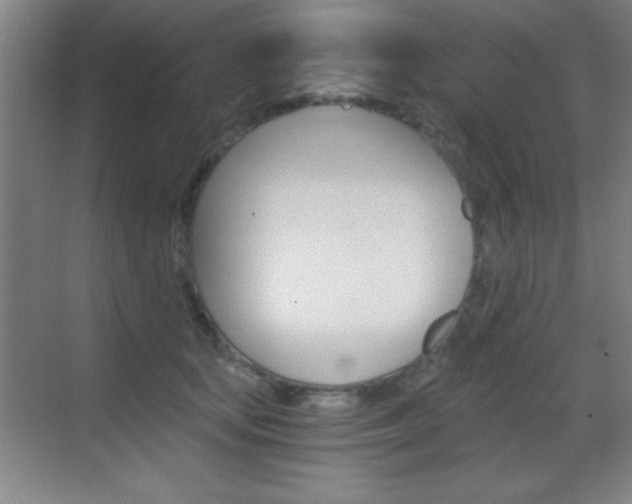 X0000069830659200605190943