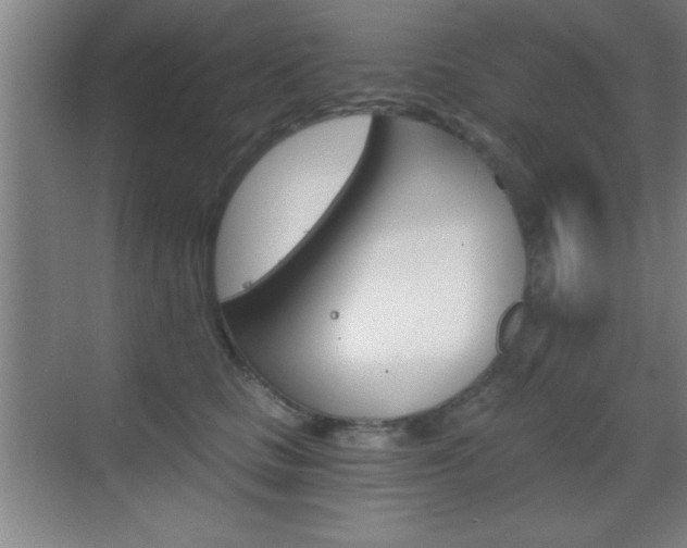 X0000069830661200605190943