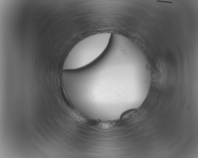 X0000069830662200605190943