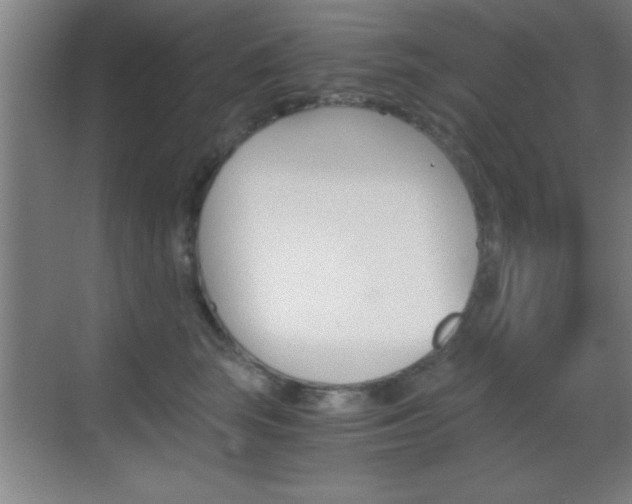 X0000069830663200605190943