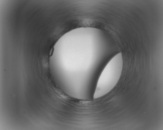 X0000069830665200605190943