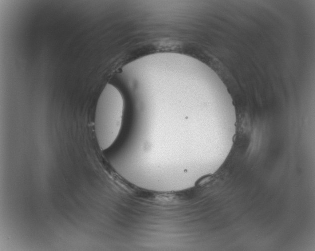 X0000069830666200605190943