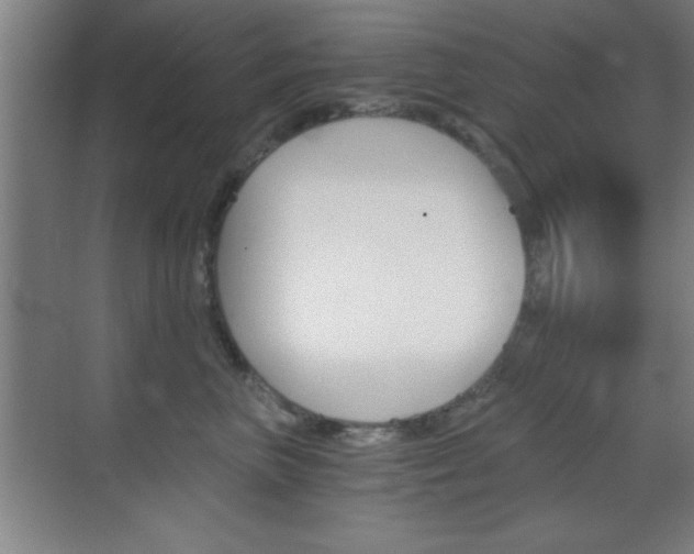 X0000069830667200605190943