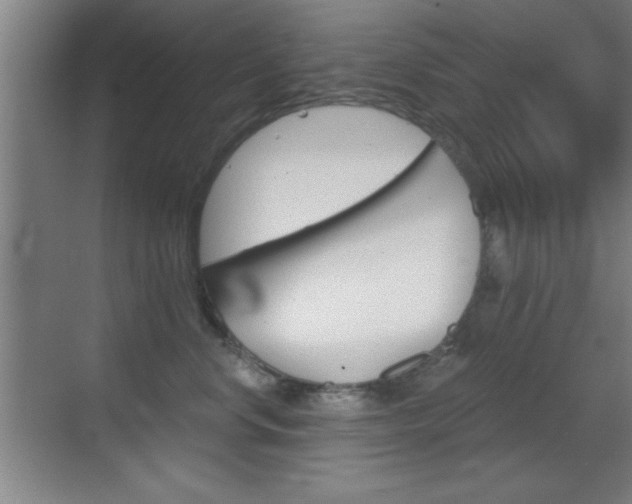 X0000069830668200605190943