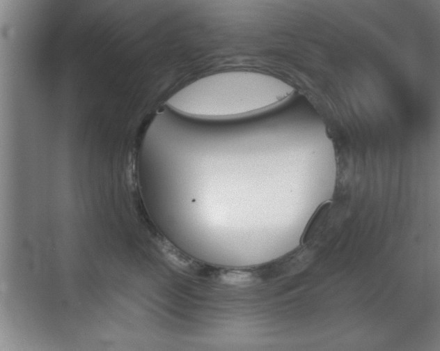 X0000069830669200605190943