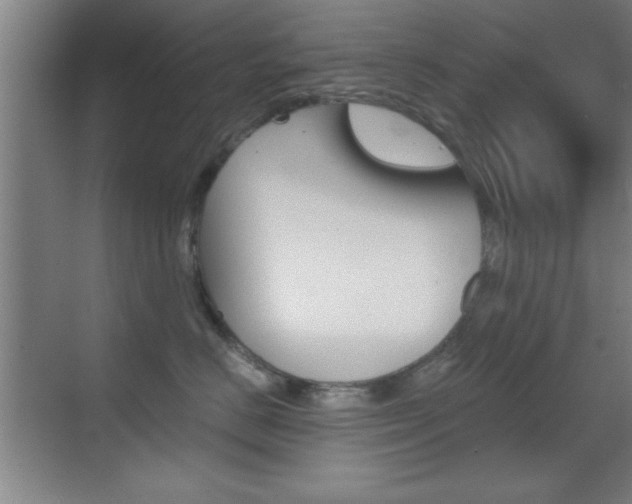 X0000069830670200605190943