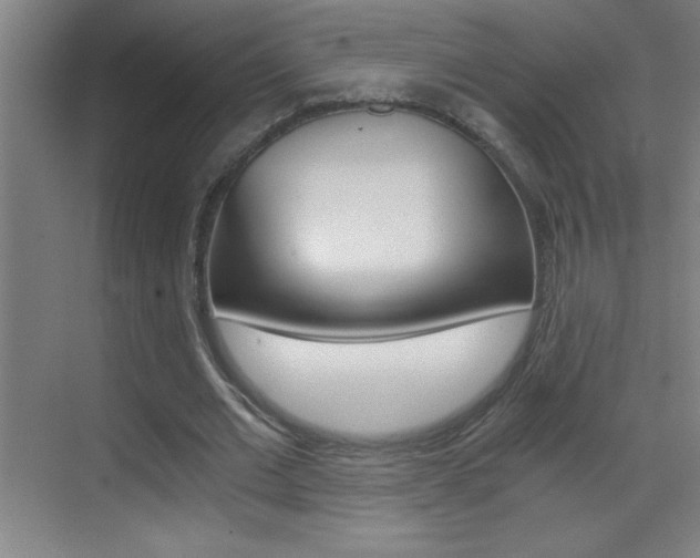 X0000069830677200605190942