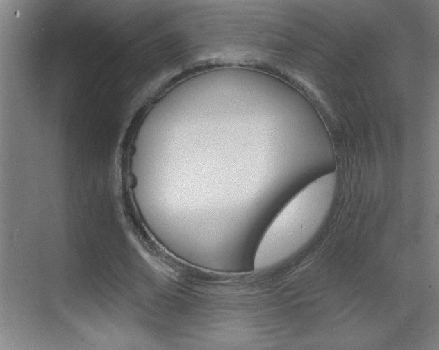 X0000069830678200605190942