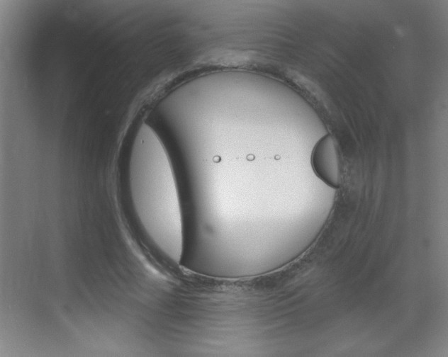 X0000069830682200605190942