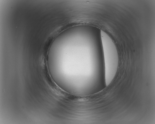 X0000069830692200605190942