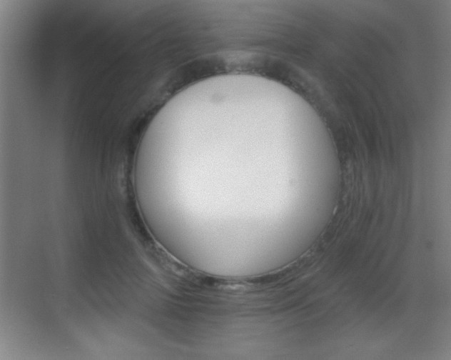 X0000069830698200605190942